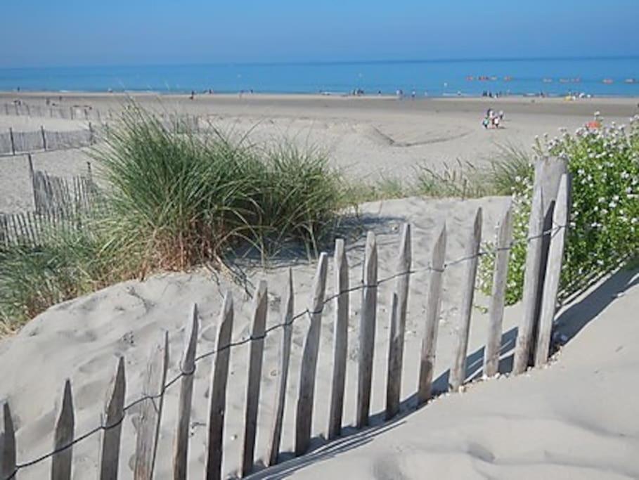 Logement A Deux Pas De La Plage Et Des Commerces ル・トレポール エクステリア 写真